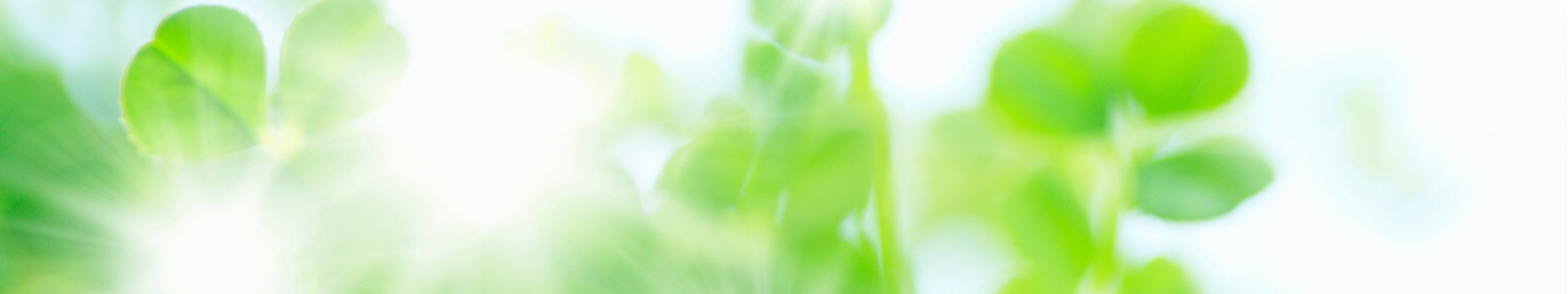 izumi